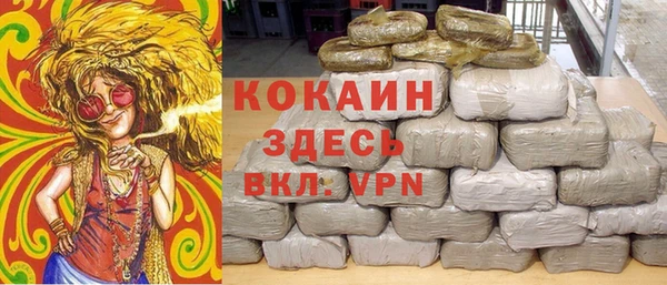 spice Алзамай