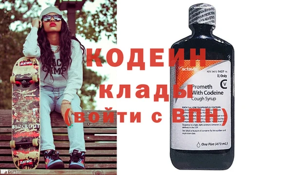 амф Ельня