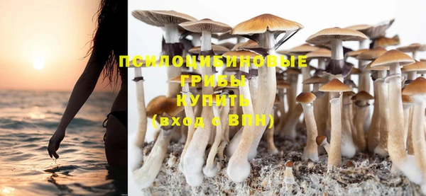 стафф Михайловск