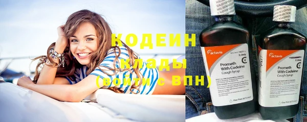 крисы Елабуга
