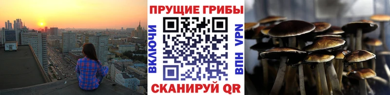 Псилоцибиновые грибы Magic Shrooms  Шатура 